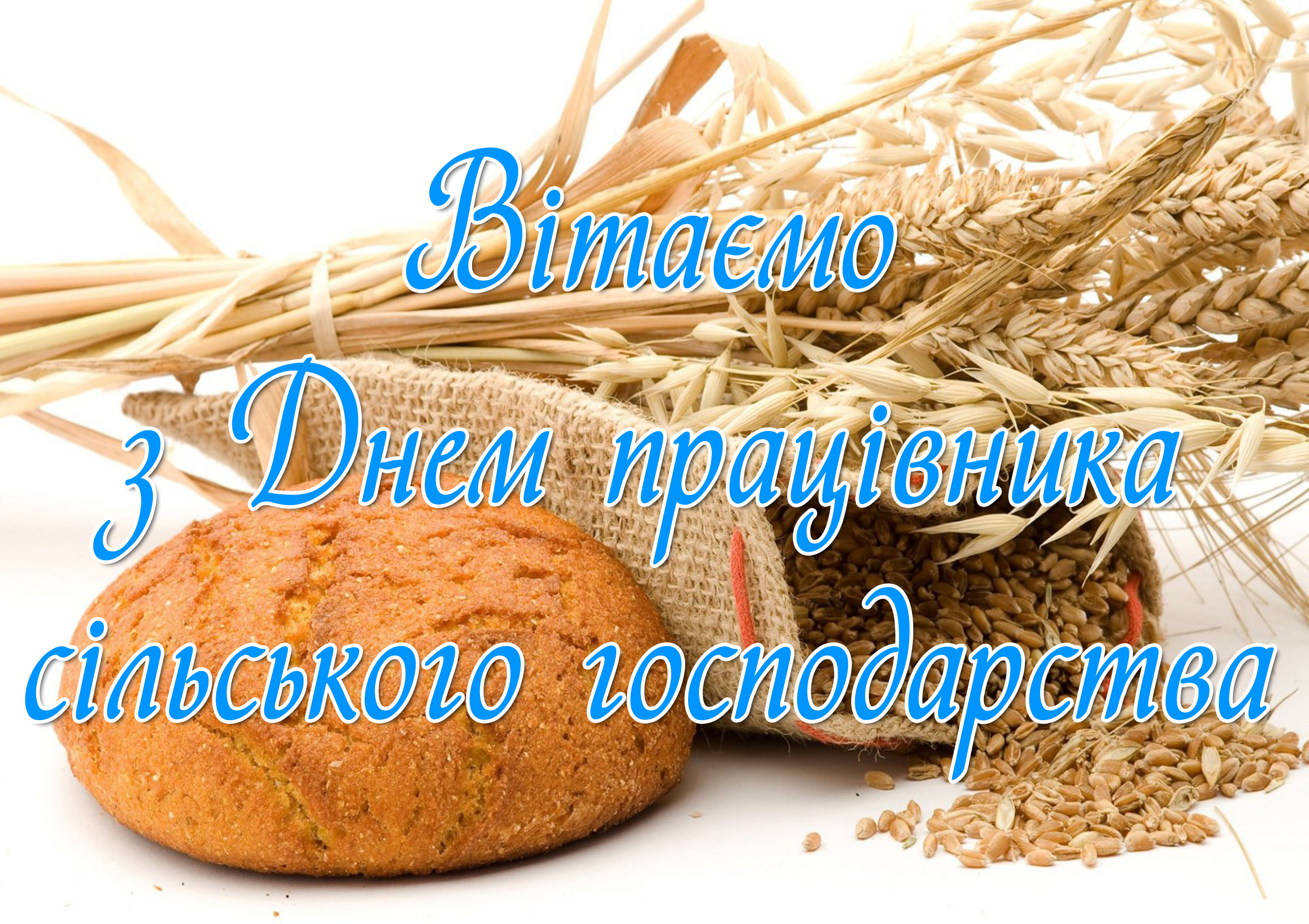 Вітаємо з Днем працівника сільського господарства!
