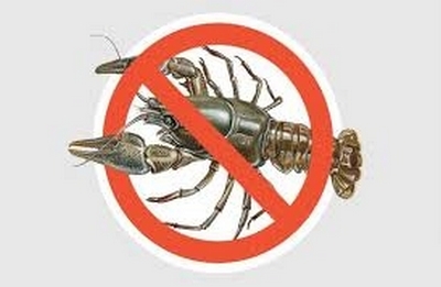 ЗАБОРОНА НА ВИЛОВ РАКІВ З 01 ГРУДНЯ ДО 30 ЧЕРВНЯ 2026 (ВКЛЮЧНО)